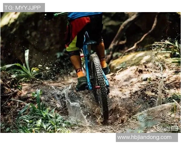 北京极限运动队的比赛经验分享与发展趋势分析