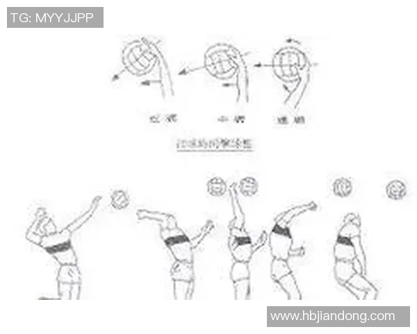 武汉排球队的转换体系与排球战术的深度解析与应用探讨 武汉排球队的转换体系与排球战术的深度解析与应用探讨